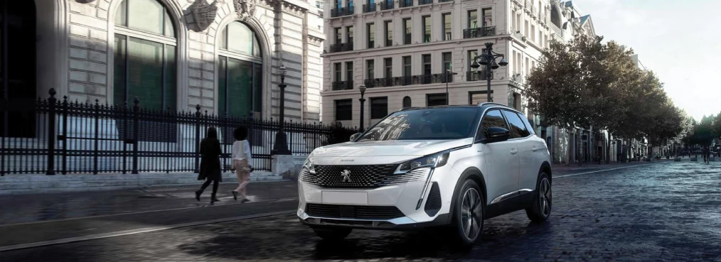 PANAMERICANA NORTE Banner